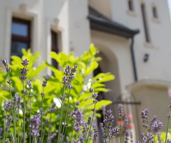 Kuria With Free Parking Apartment Budapest