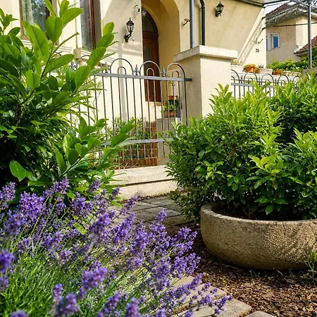 Kuria With Free Parking Apartment Budapest