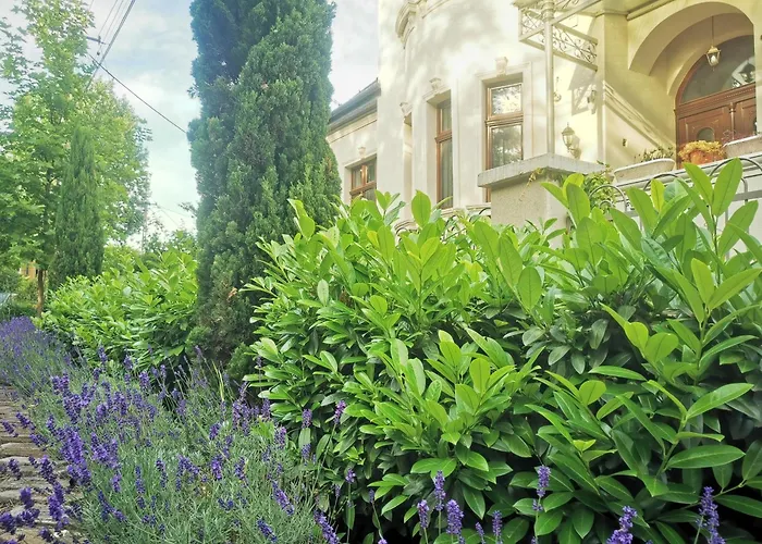 Kuria With Free Parking * Budapesta