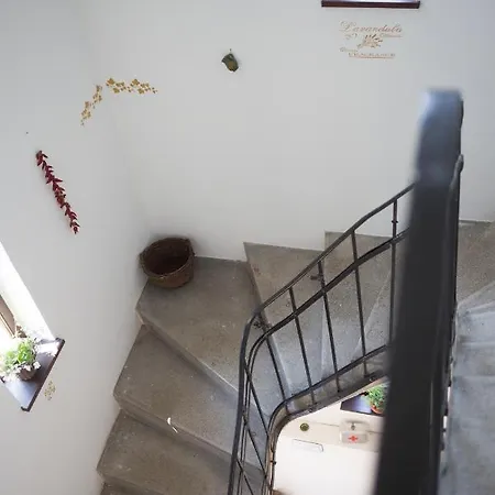 Kúria With Free Parking Apartamento