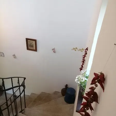 Apartment Kuria With Free Parking *