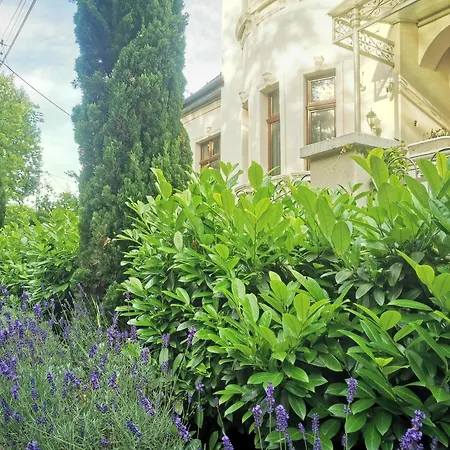 Kuria With Free Parking * Budapest