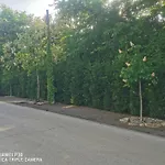 Kuria With Free Parking *